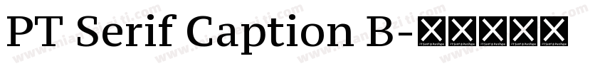 PT Serif Caption B字体转换